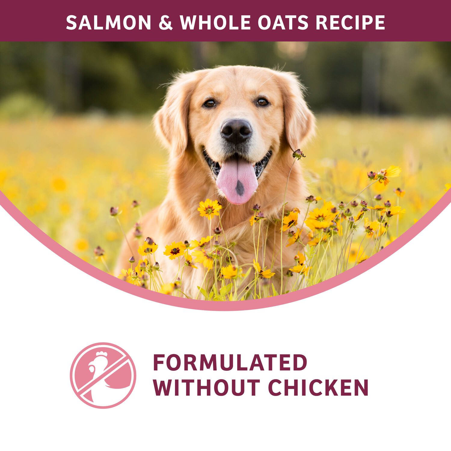 Fromm Nutritionals Sensitive Skin & Stomach Salmon & Whole Oats Dry Dog Food, 4-Lb Bag