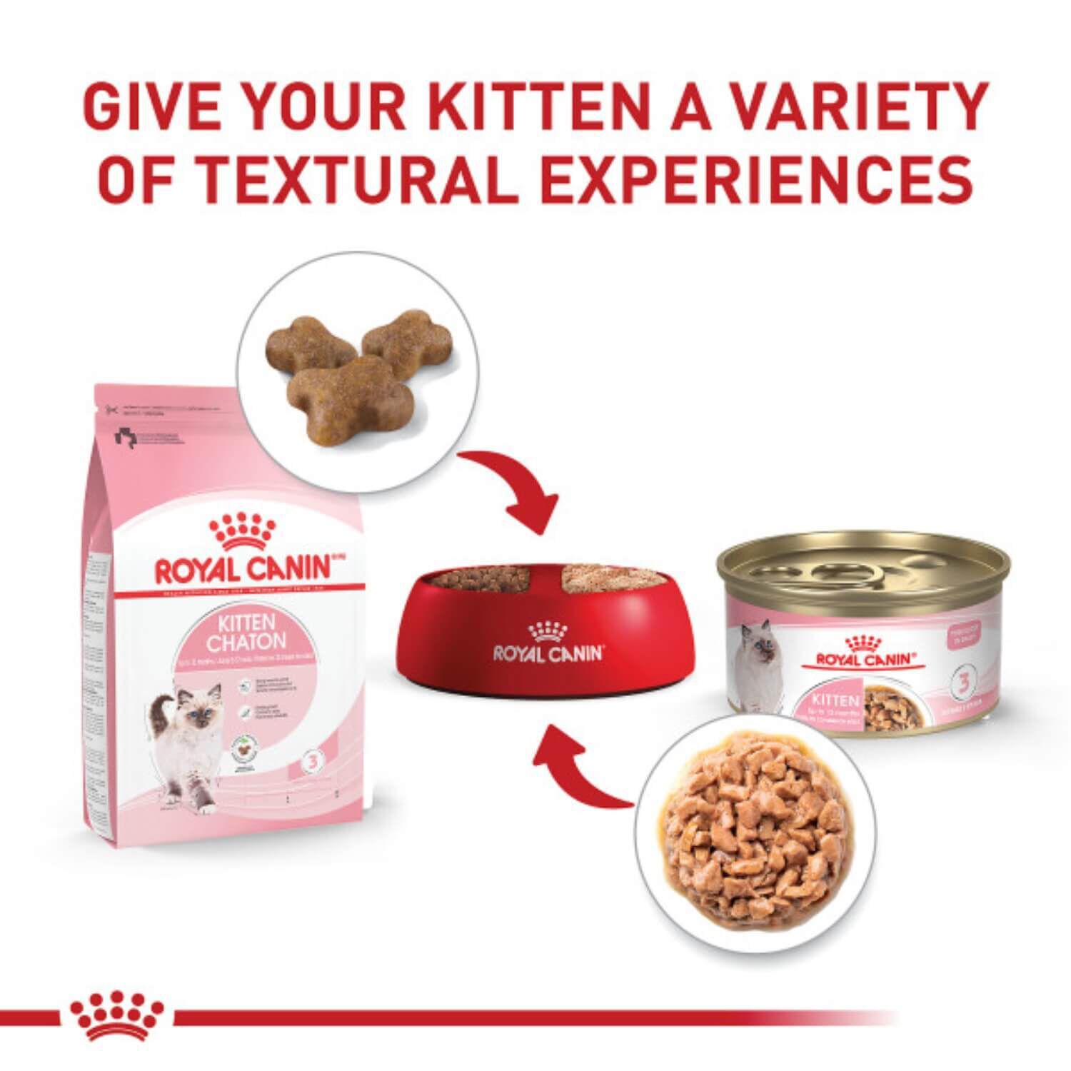 Royal Canin Feline Health Nutrition Kitten Thin Slices In Gravy Wet Cat Food, 3-Oz Pack Of 12