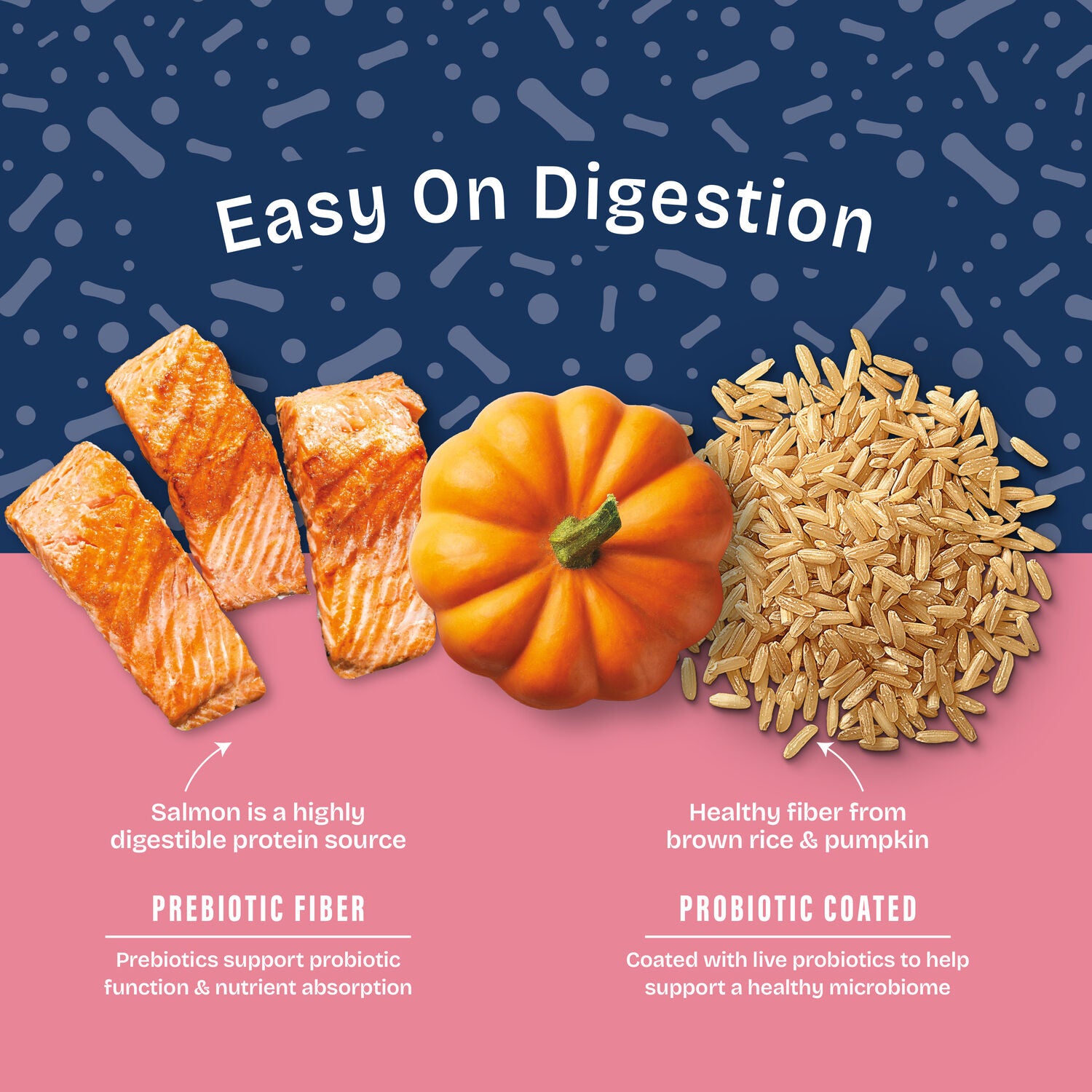Natural Balance Health Protection Dry Dog Food, Salmon, Brown Rice & Pumpkin Recipe, 4 Lbs.