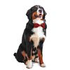 Fashion Pet Red Plaid Bow Tie For Dogs And Cats