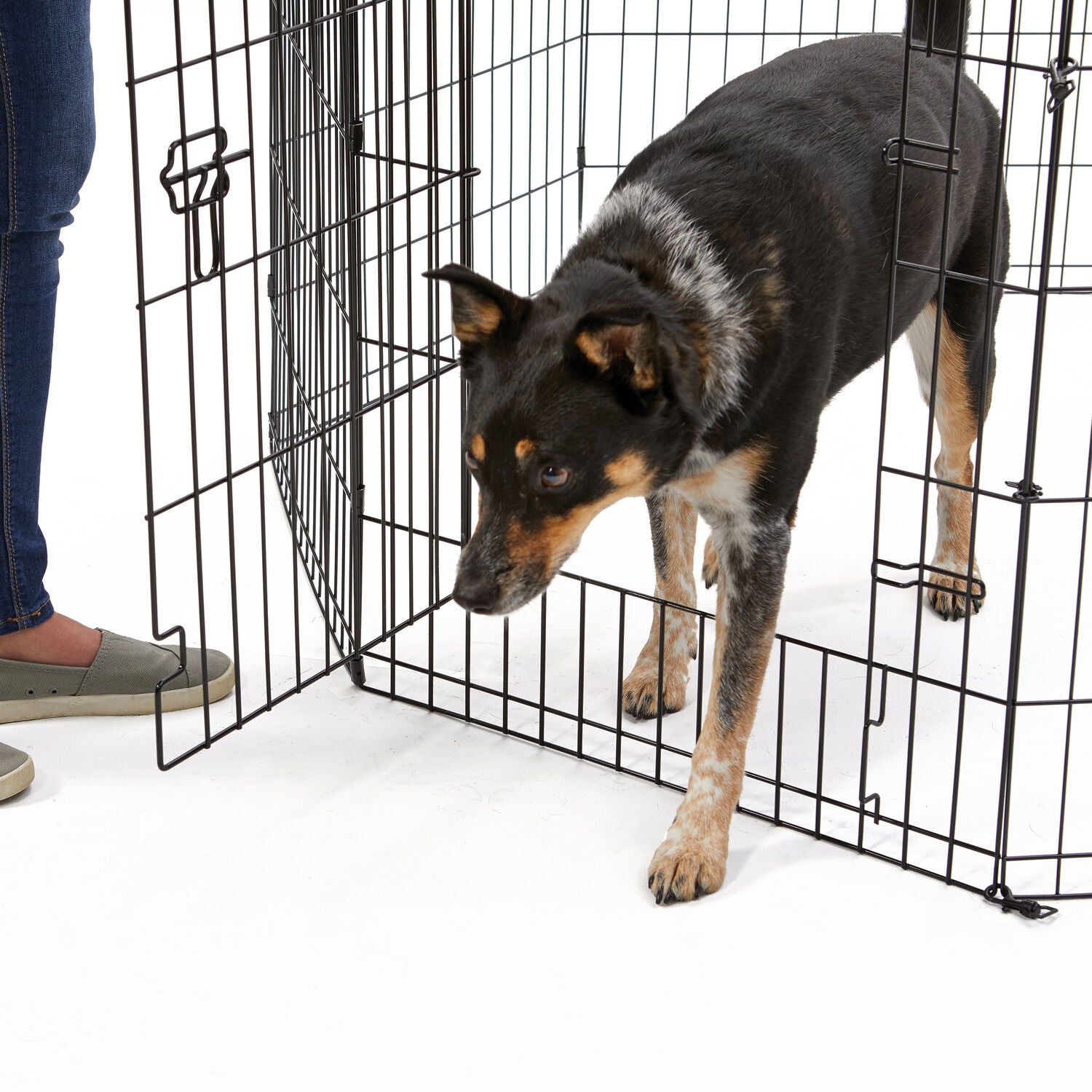 Midwest Homes For Pet Contour Step-Thru Dog Exercise Pen, 48"