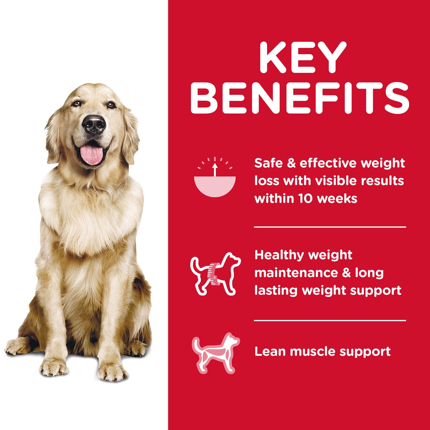 Science diet perfect weight dog food reviews store
