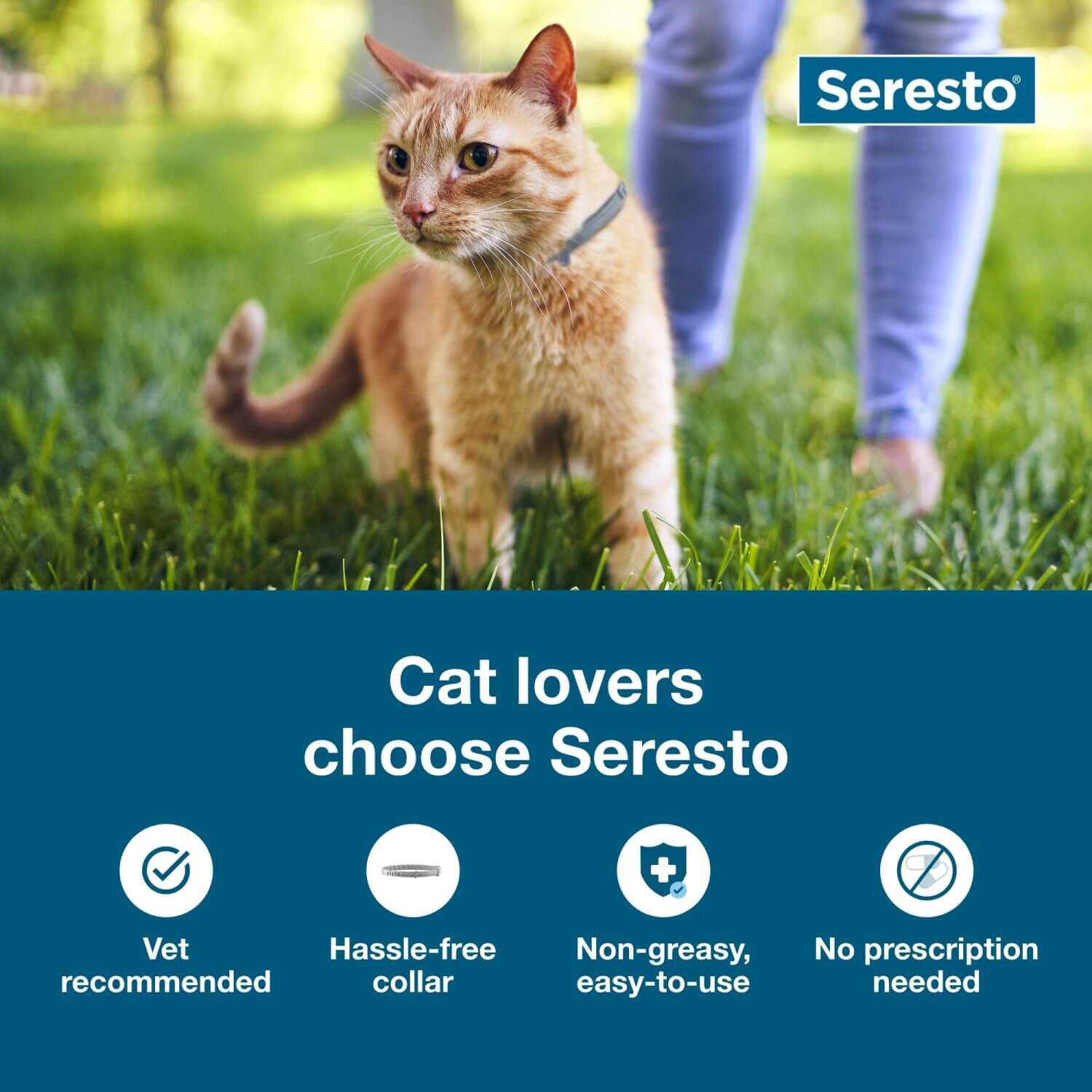 Seresto Flea & Tick Treatment & Prevention Collar For Cats, 8 Months Protection