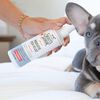 Probiotic Itch Relief For Dogs & Cats