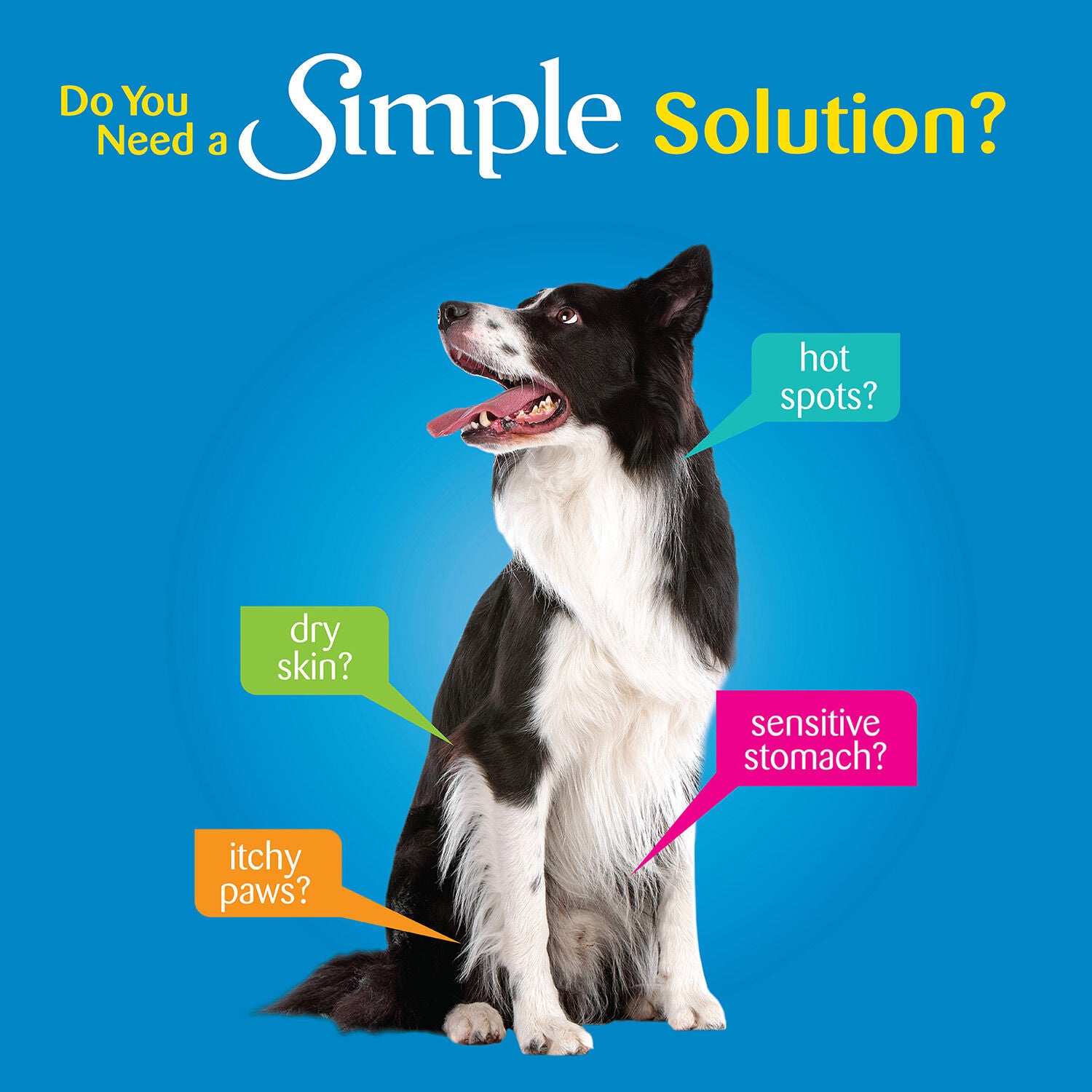 Wellness Simple Lamb Oatmeal Dog Food Pet Supermarket 26lb