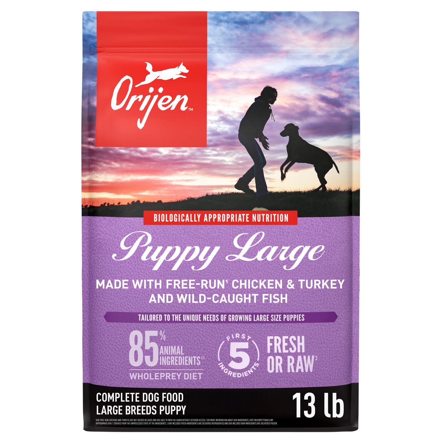 Orijen Large Breed Puppy Grain-Free High-Protein Dry Dog Food, 13-Lb Bag