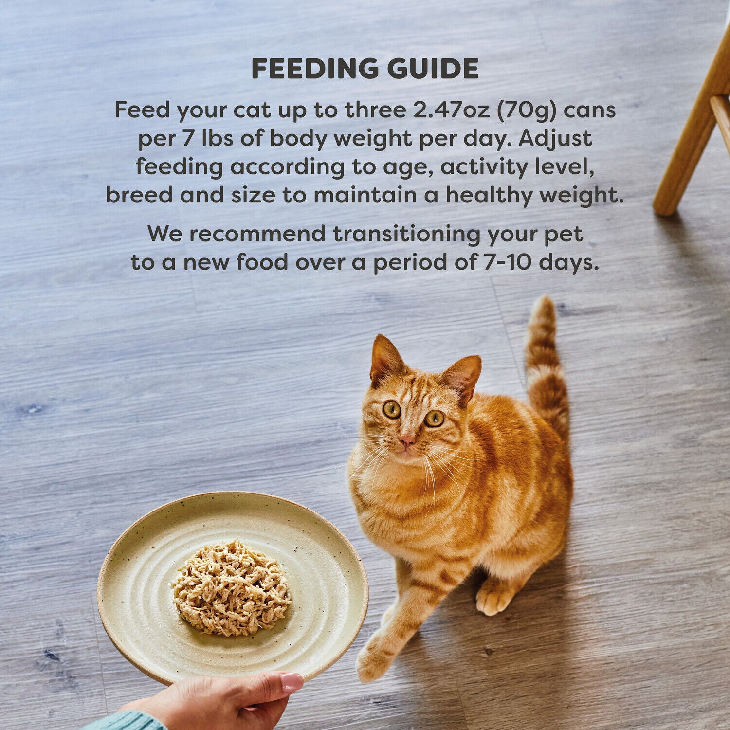 Applaws Vitality Natural Wet Cat Food With Added Vitamins & Minerals Variety Selection In Broth, 2.47-Oz Pack Of 12
