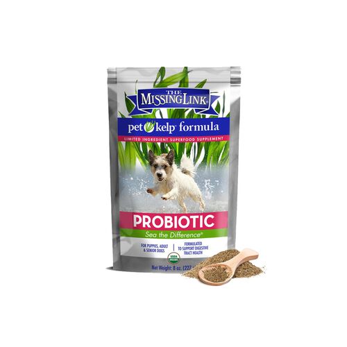 Pet Kelp Probiotic Supplement For Dogs Powder