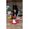 Messy Mutts Silicone Reversible Interactive Feeding And Licking Mat For Cats And Dogs, 5.5"