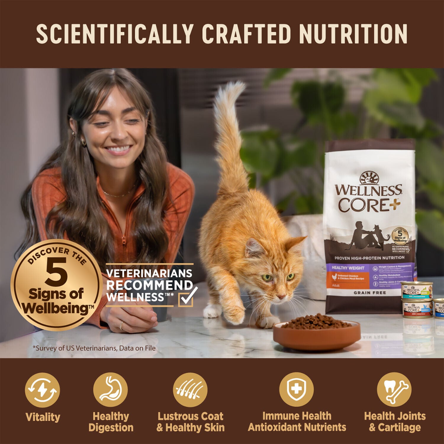 Wellness Core+ Adult Dry Cat Food For Indoor Cats, Grain Free, Natural, Chicken, Turkey & Chicken Meal - 5-Lb