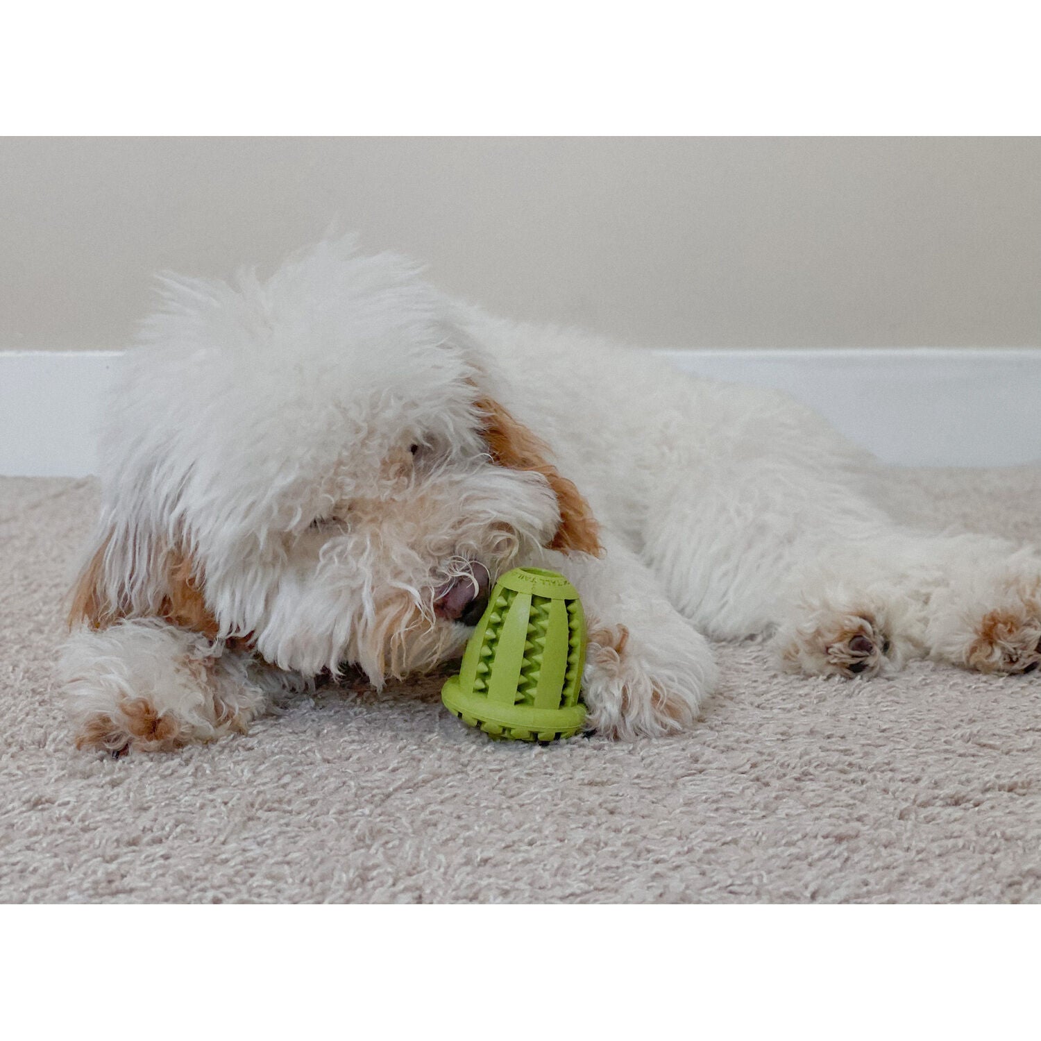 Tall Tails Natural Rubber Acorn Interactive Treat Dispensing Dog Toy, 3"