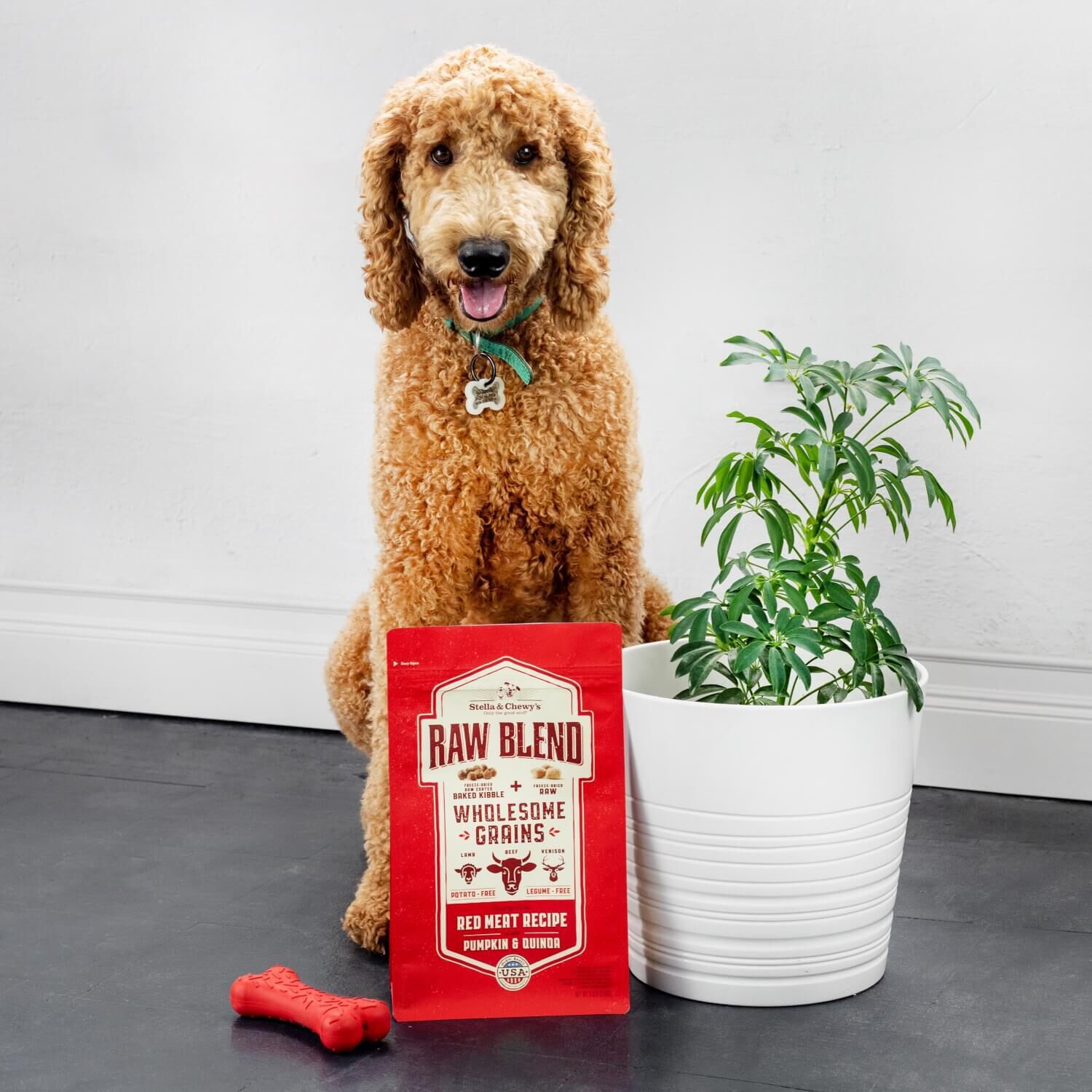 Stella & Chewy's Raw Blend Wholesome Grains Kibble With Freeze Dried Raw Pieces Dry Dog Food, Red Meat Recipe, 22-Lb Bag