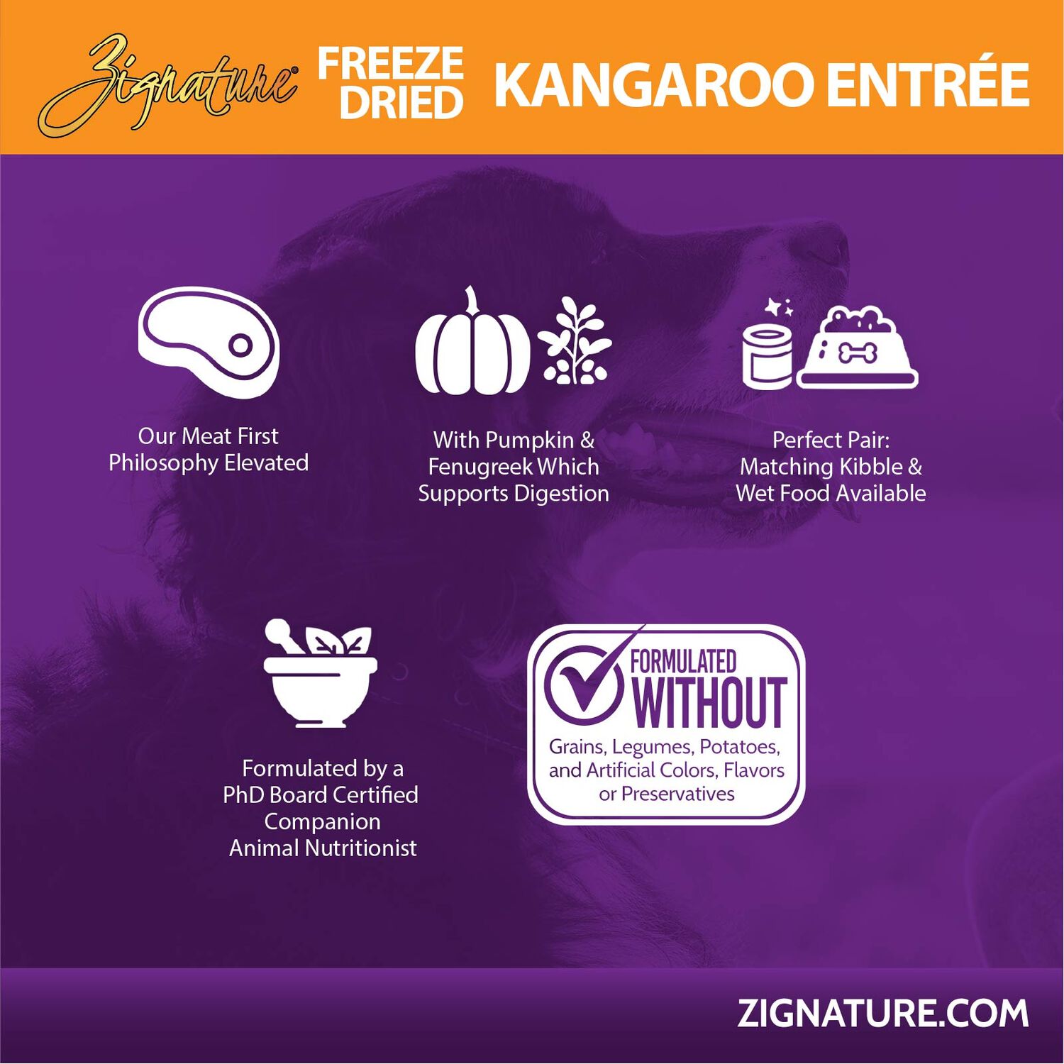 Zignature Grain-Free Kangaroo Entr&eacute;e Freeze-Dried Dog Food, 25-Oz Bag