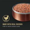 Savor Adult Grain Free Classic Chicken & Carrots Entree Dog Food thumbnail number 16