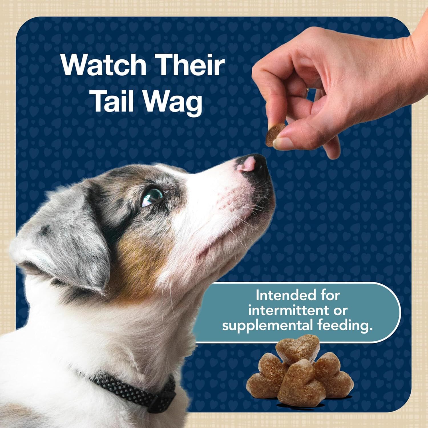 Blue Buffalo Blue Bits Soft-Moist Training Tempting Turkey Recipe Dog Treats, 4-Oz