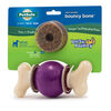Pet Safe® Busy Buddy® Bouncy Bone™ Dog Toy