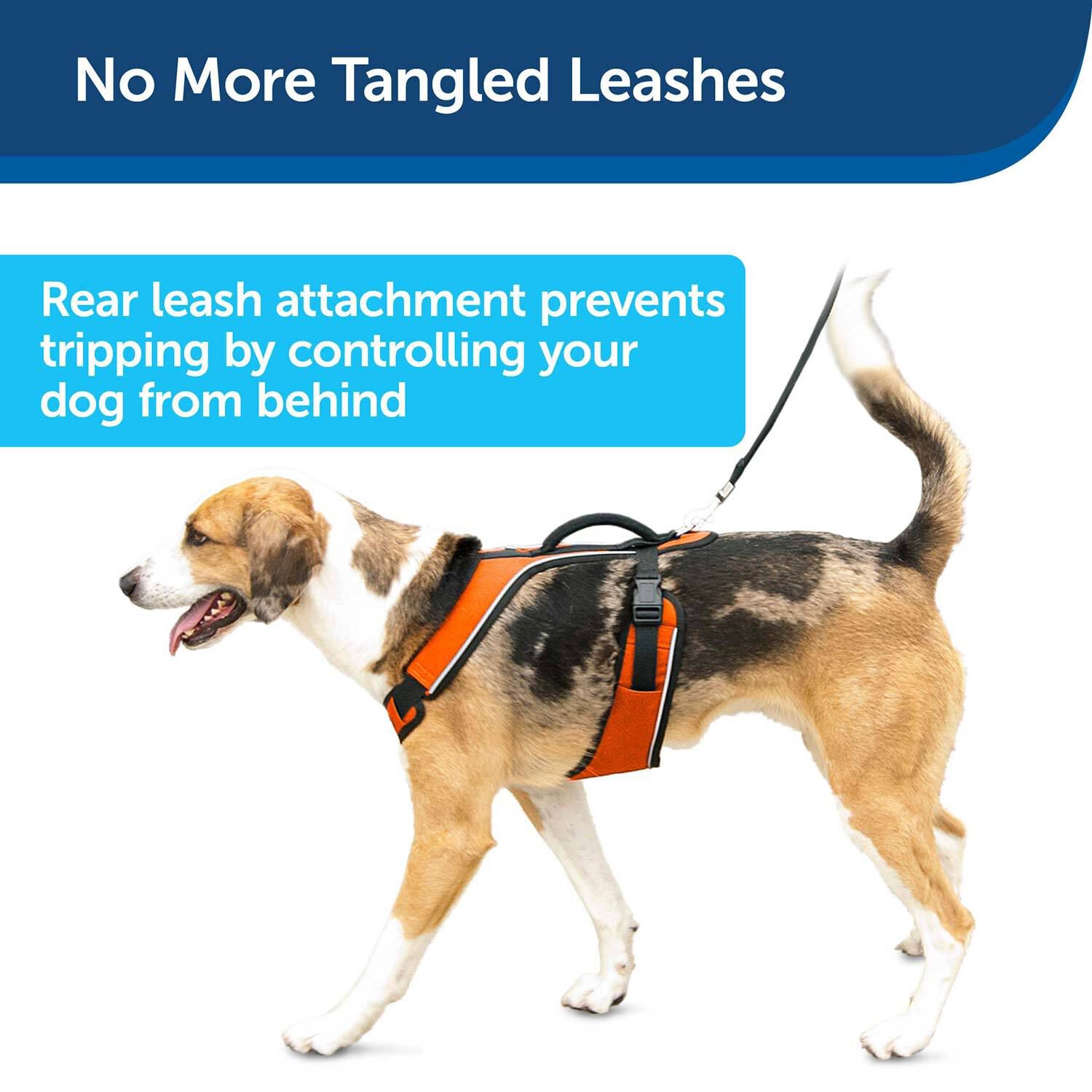 Easy sport dog harness discount
