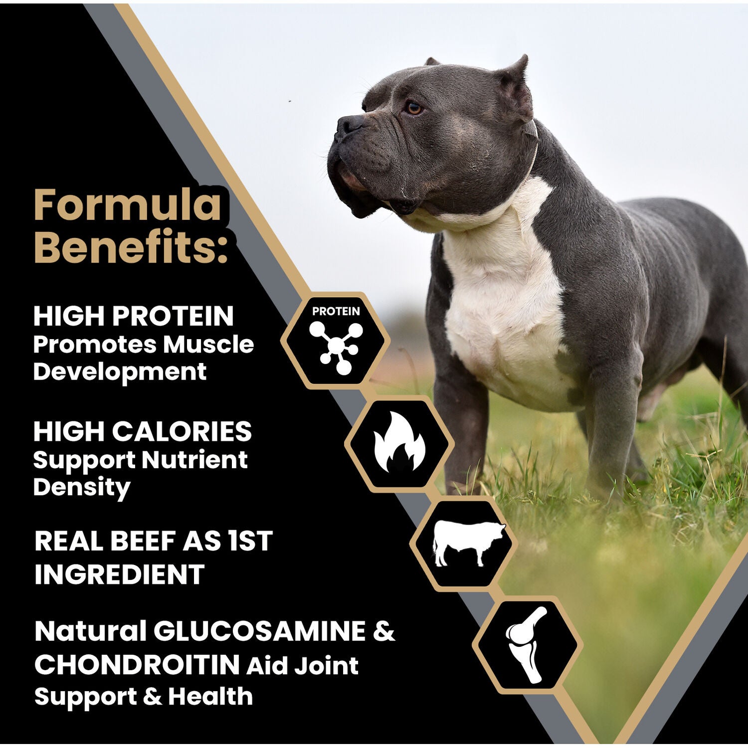 Victor Bully Fuel Pit Bull Dry Formula Dog Food, 40-Lb Bag