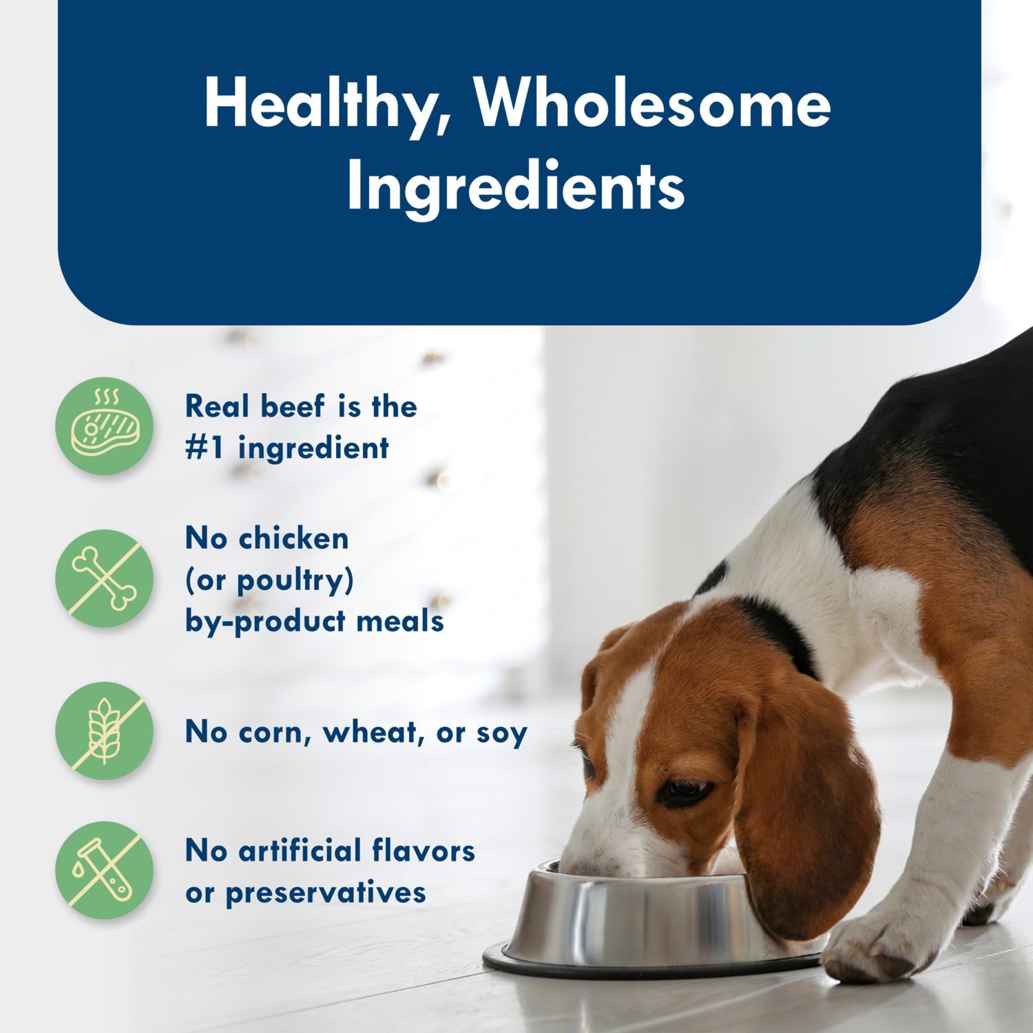 Blue Buffalo Divine Delights Small Breed Natural Wet Dog Food, Ny Strip Flavor In Hearty Gravy, 3.5-Oz - Pack Of 12
