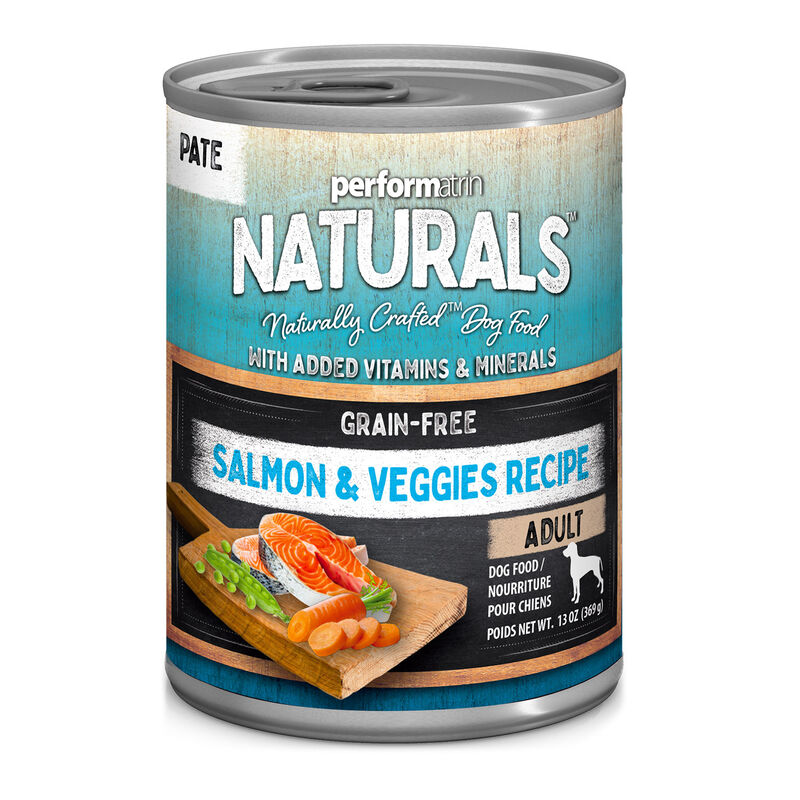 Adult Salmon & Veggies Recipe Dog Food image number 1
