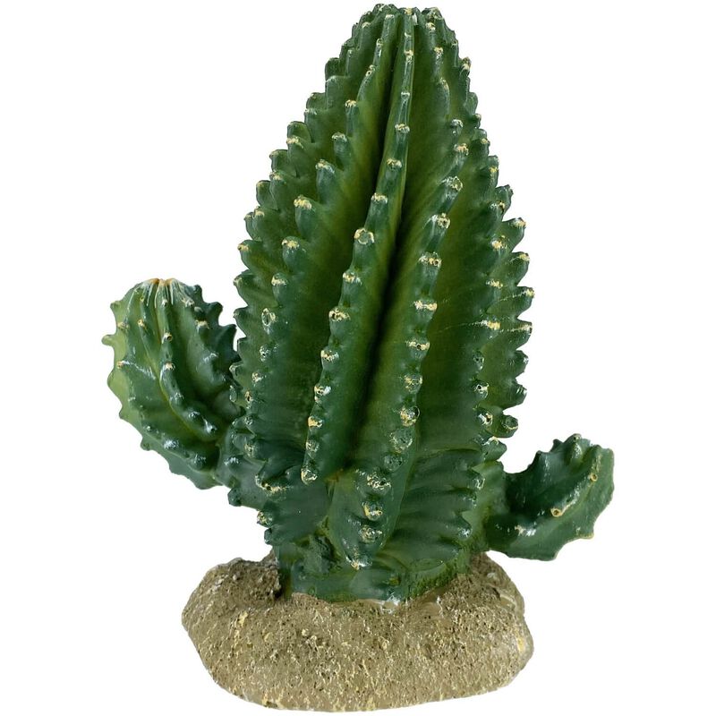 Columnar Cactus For Reptile Enclosures