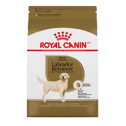 Labrador Retriever Adult Dog Food