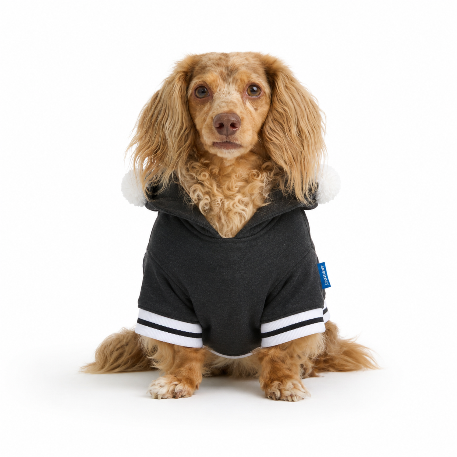 Aristopet Light Pullover Dog Hoodie With Ears On Hood, Extra Large