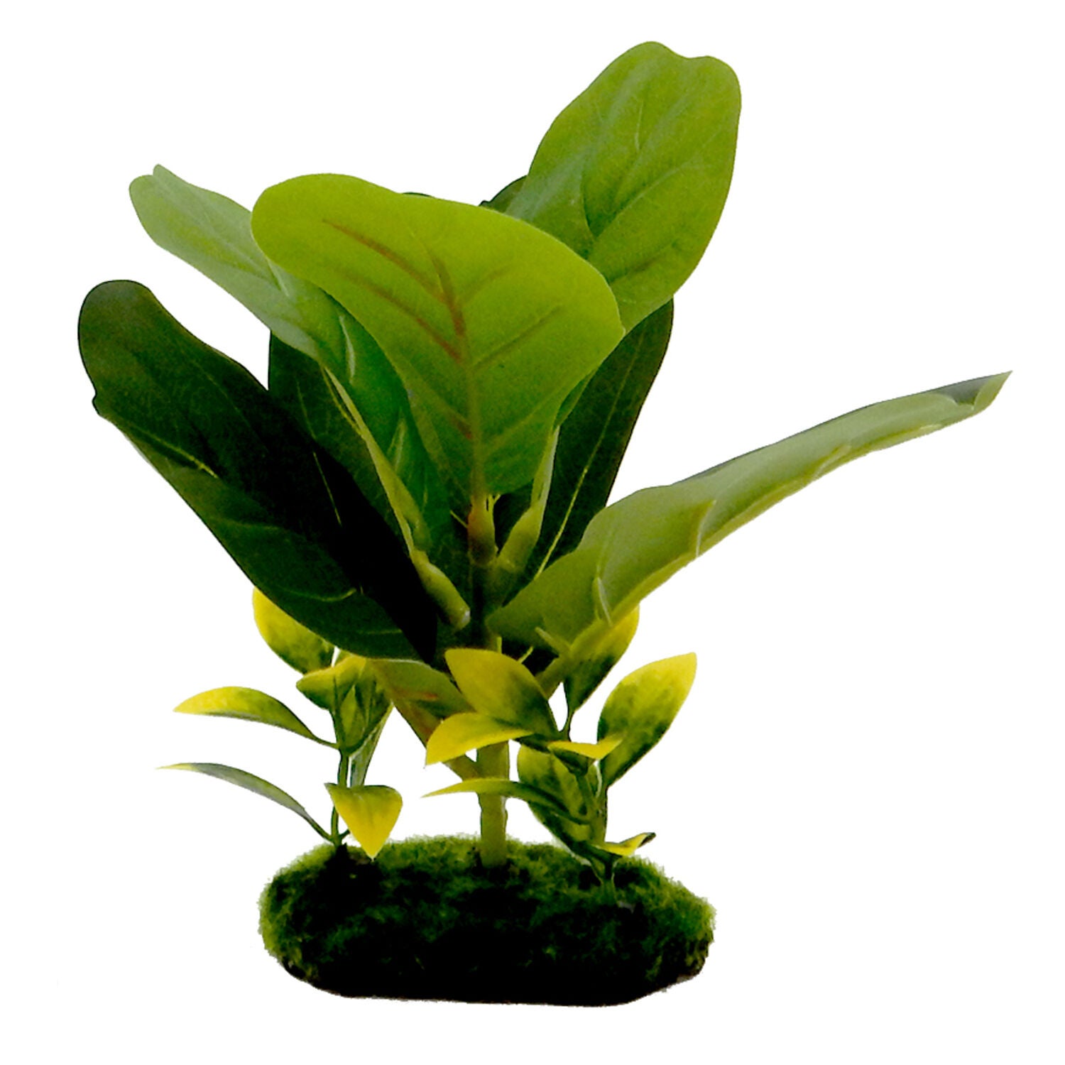 Blue Ribbon Tropical Gardens&reg; Green Fiddle Leaf Plant Aquarium D&eacute;cor