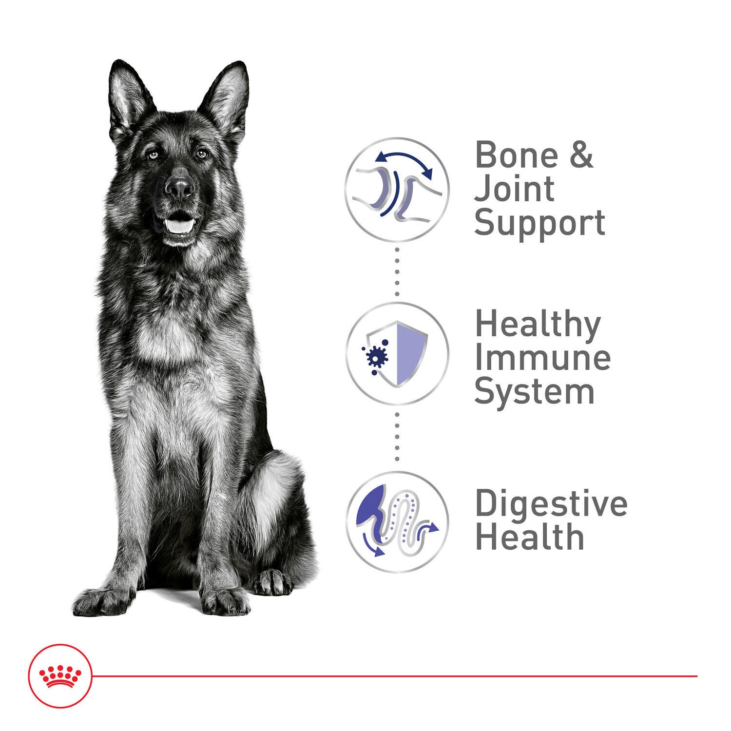 Royal Canin Size Health Nutrition Large Adult Dry Dog Food, 30Lb