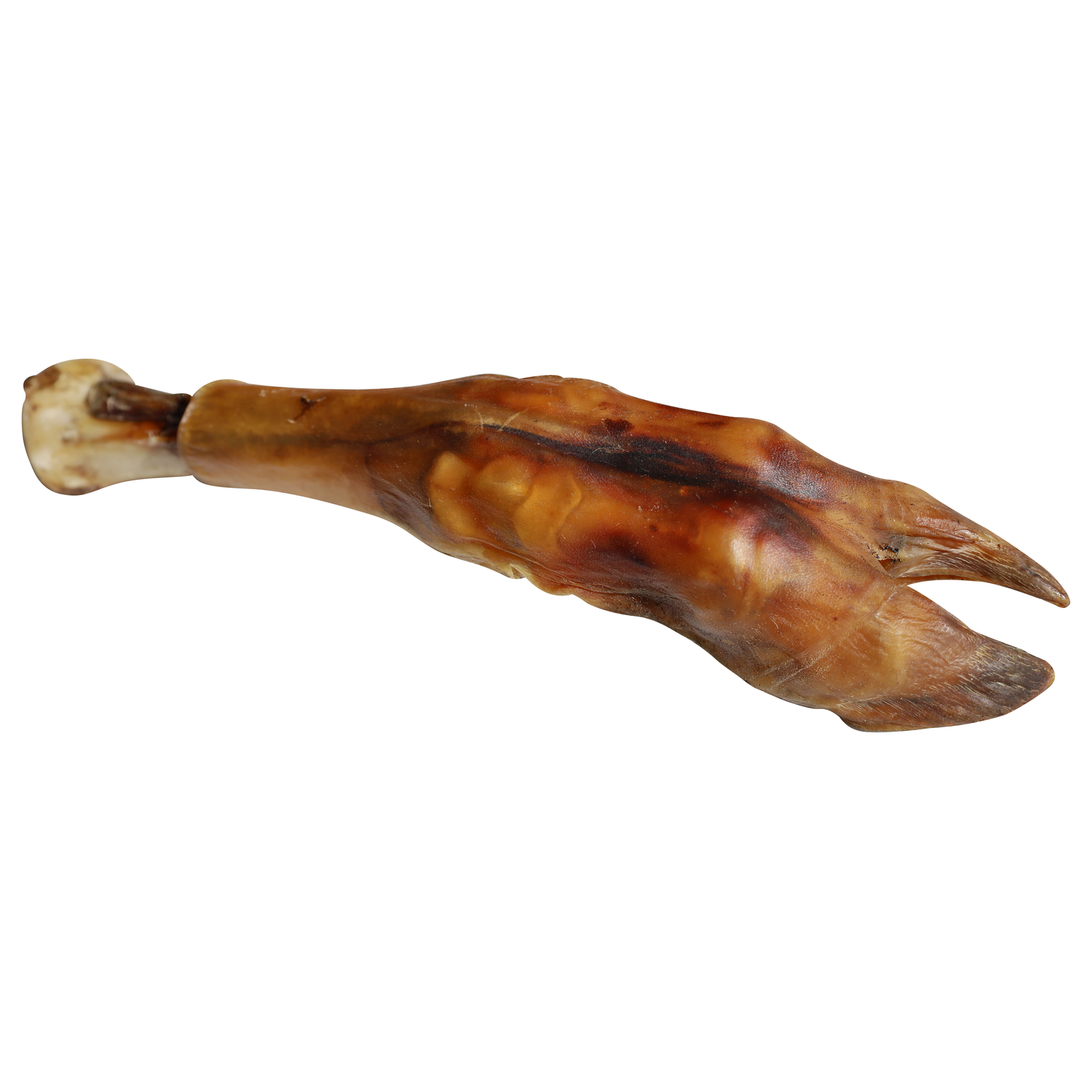 Qt Dog Water Buffalo Shin Bone & Trotter Foot Natural Dog Treat, 10-12", 1 Each