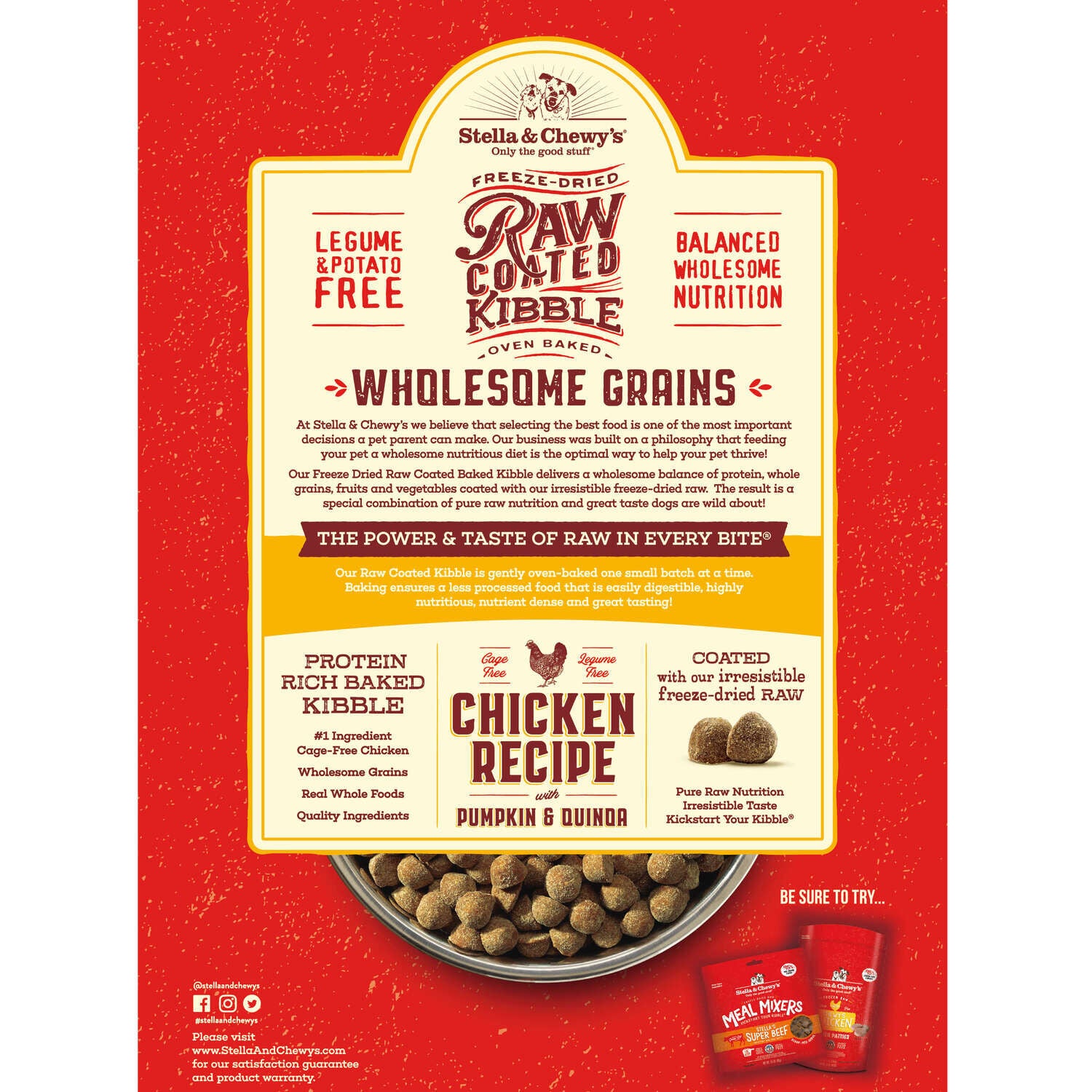 Stella & Chewy's Baked Kibble Dry Dog Food - Raw Coated Wholesome Grains Chicken Recipe, 22-Lb Bag