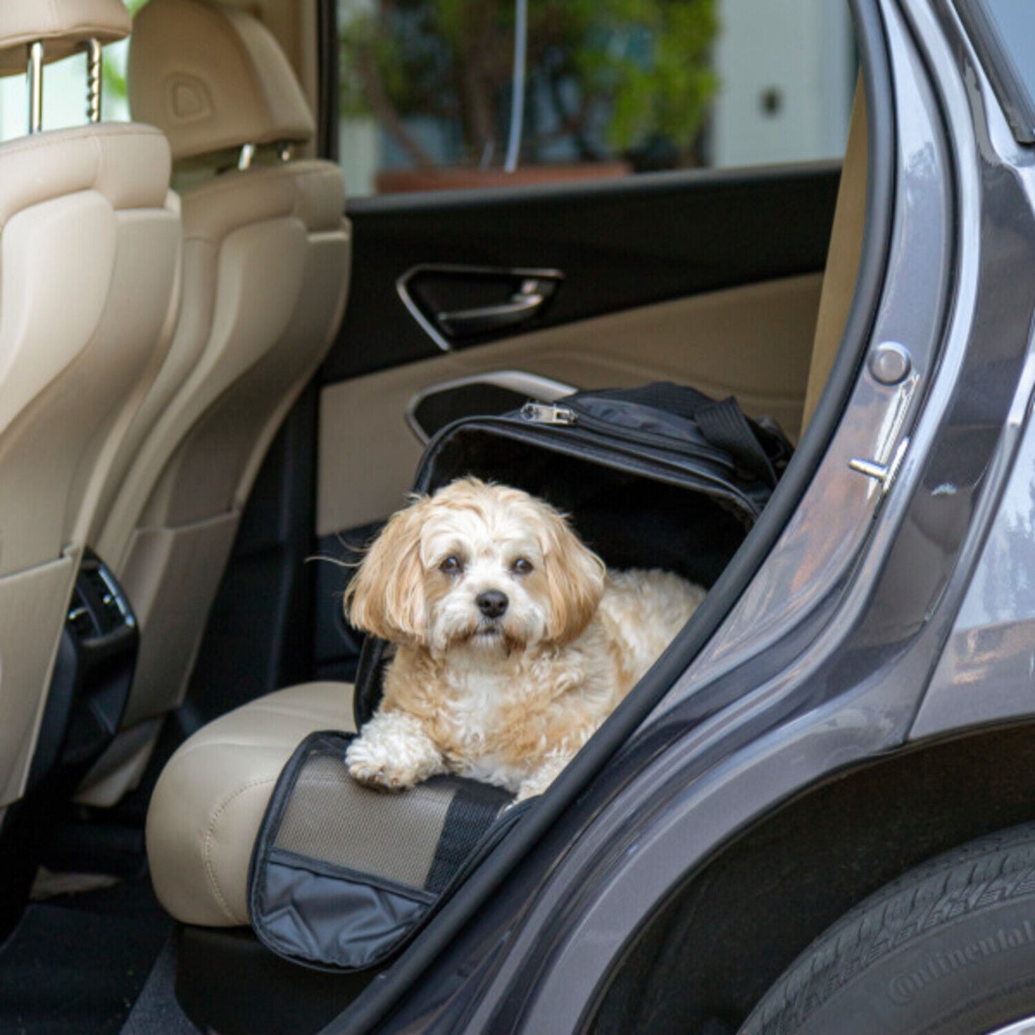 Sherpa Deluxe Airline Approved Soft Sided Dog & Cat Carrier - Black