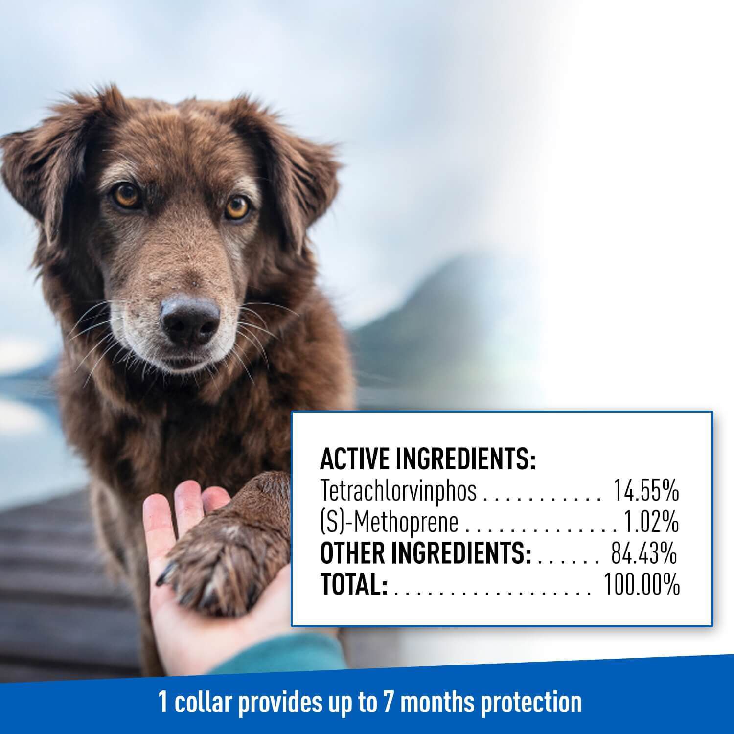 Adams Plus Flea & Tick Dog Collar, Large Dogs