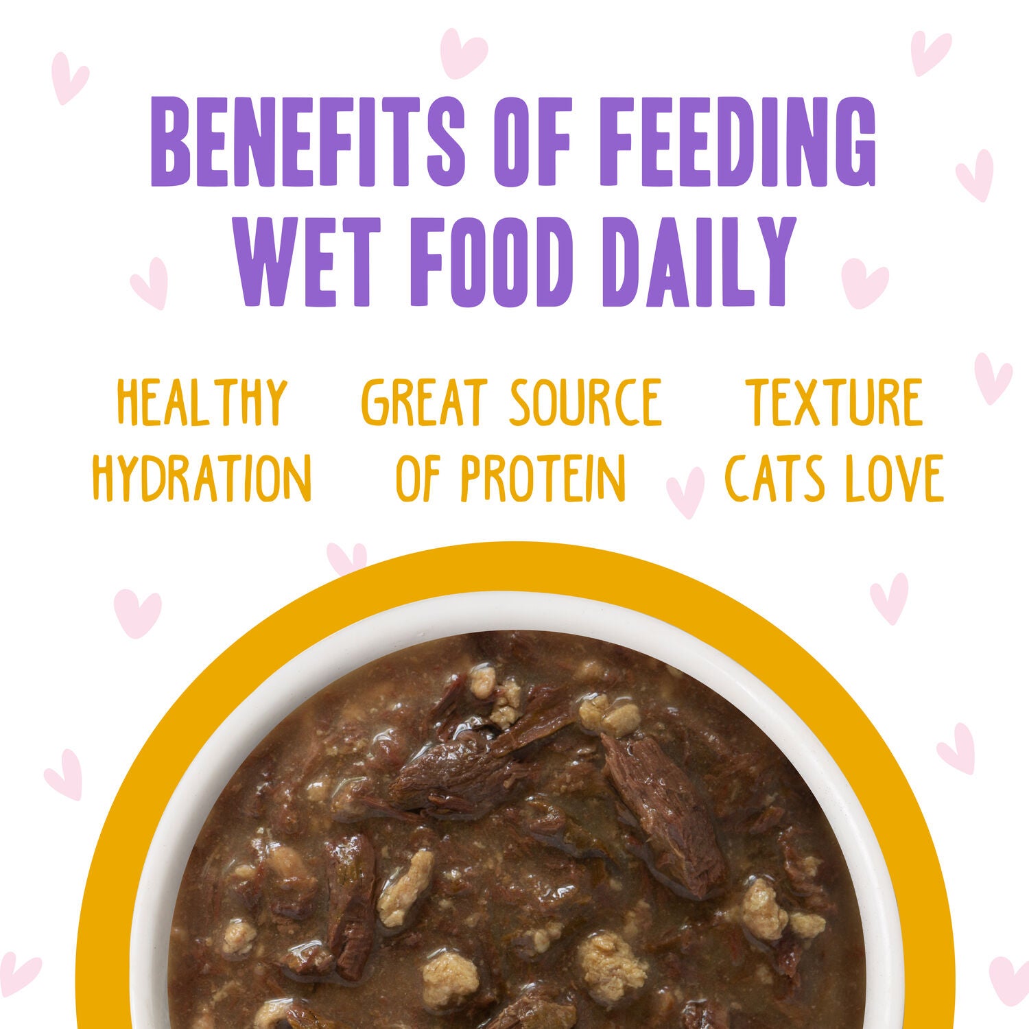 Weruva Bff Omg Gravy Tuna & Turkey Tickles Wet Cat Food, 3-Oz Pouch
