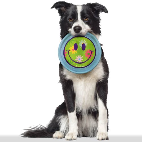 Unique Petz Flying Disc Dog Toy, 10" - Happy Face Design