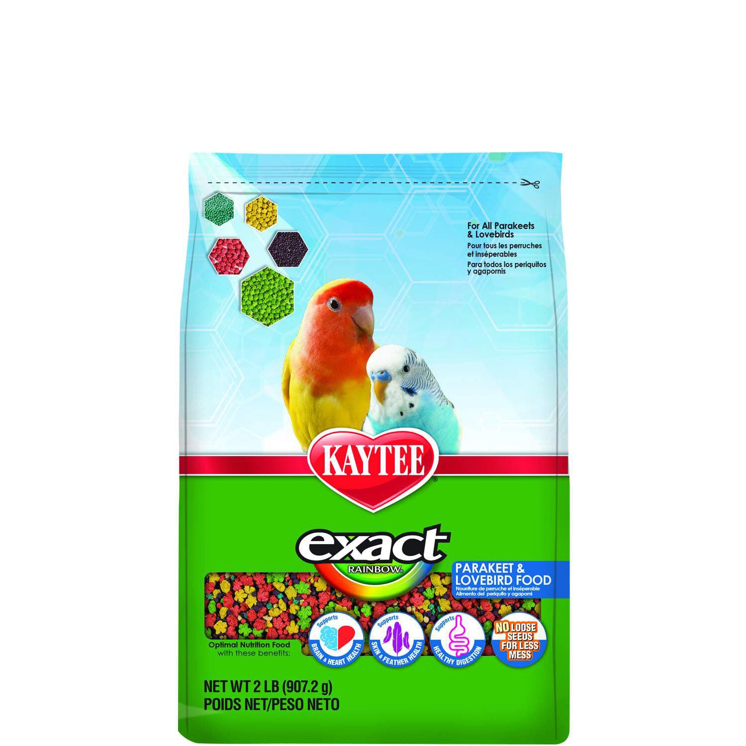 Best treats new arrivals for lovebirds