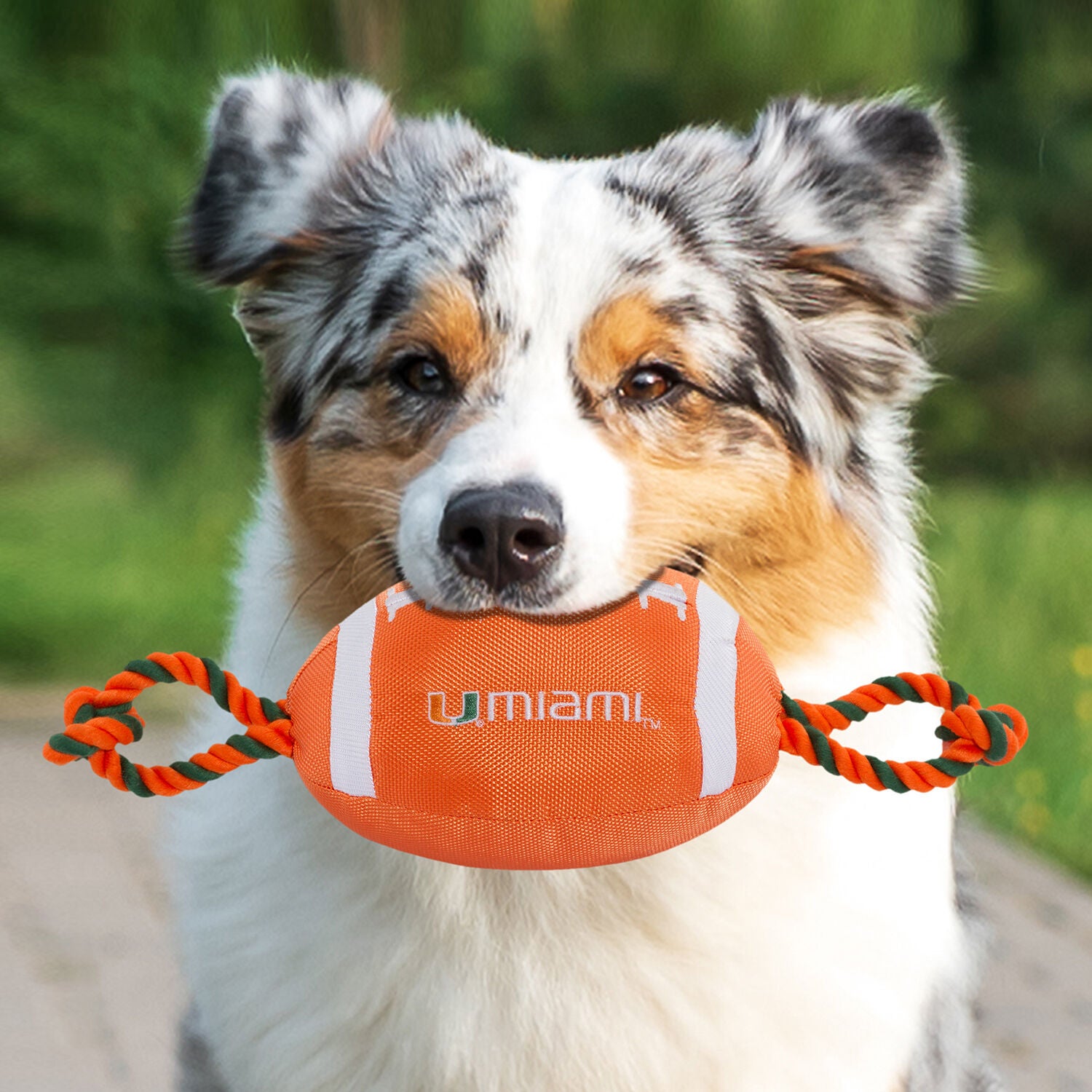 Pets First University Of Miami Hurricanes Football Plush, Rope & Tug Dog Toy