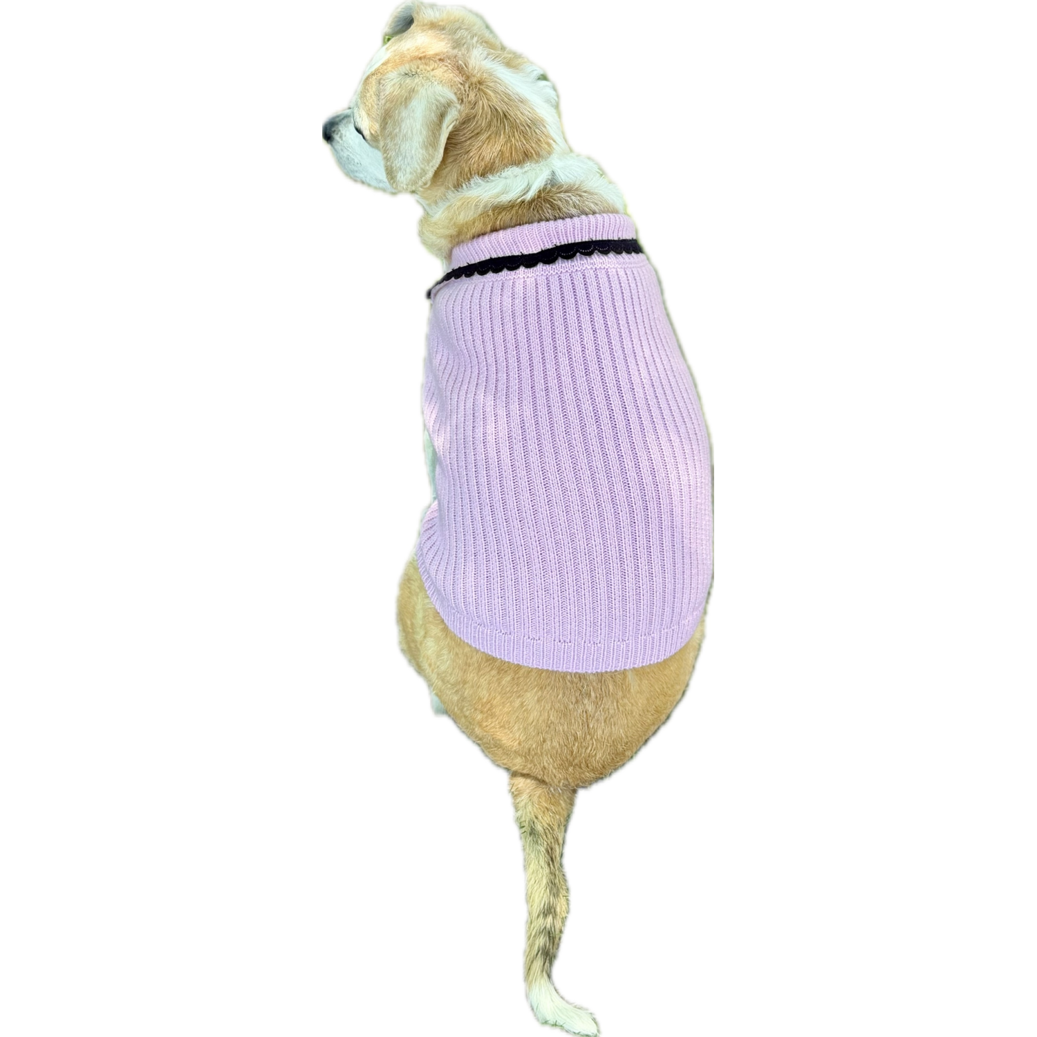 Aristopet Pink Button Heart Rib Knit Dog Sweater, Pink, Large