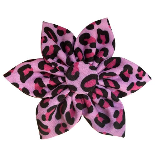 Huxley & Kent Pink Leopard Pinwheel Bow Dog & Cat Collar Accessory