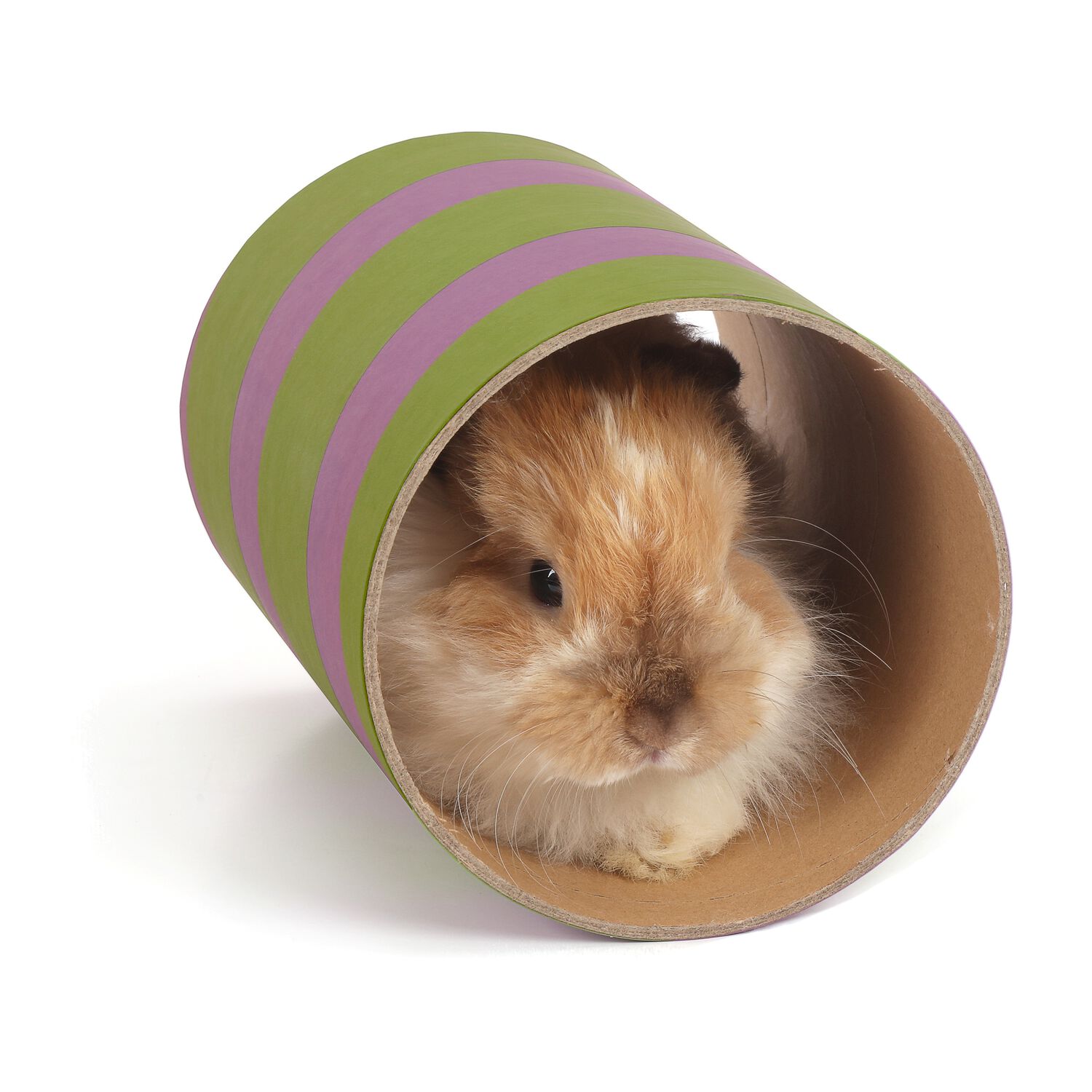 Ware Pet Products Tunnels Of Fun Large Small Animal Tunnel Hideaway