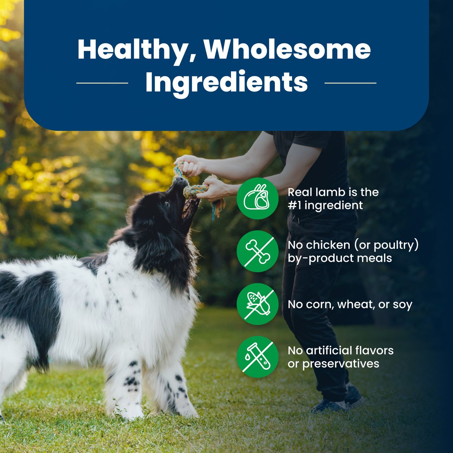 Blue Buffalo Life Protection Lamb & Brown Rice Adult Dog Food, 30-Lb