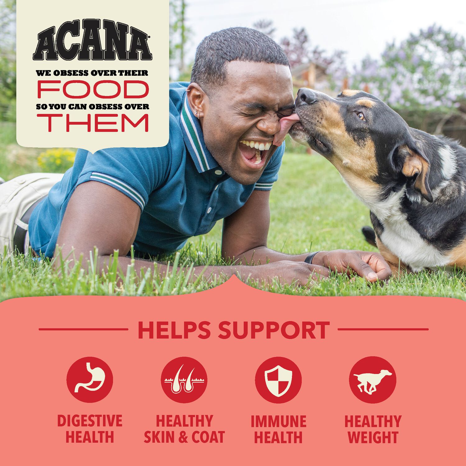 Acana Wholesome Grains Red Meat With Grains Dog Food, 22.5-Lb Bag