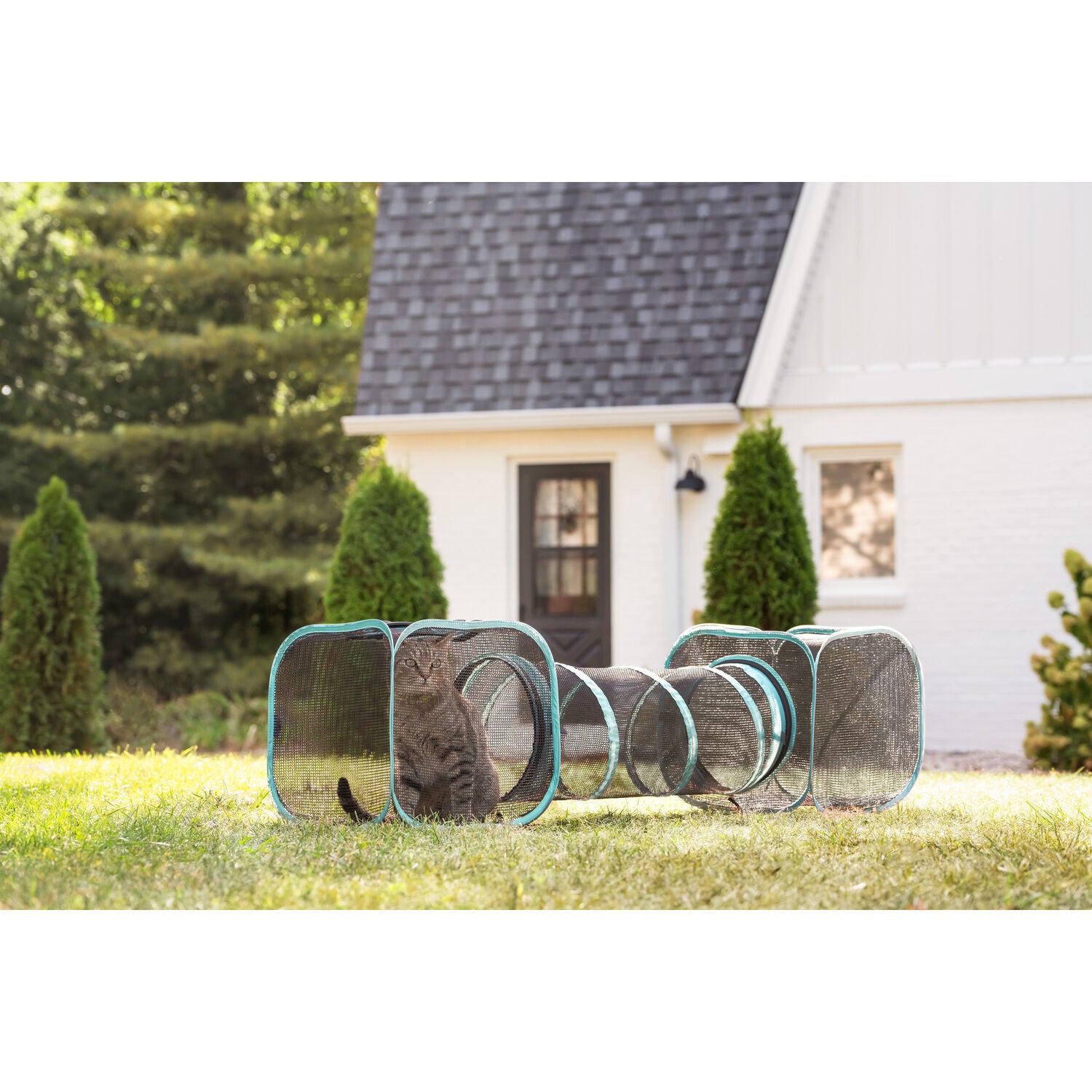 Kitty City Outdoor Two-Way Cat Tunnel, 64"