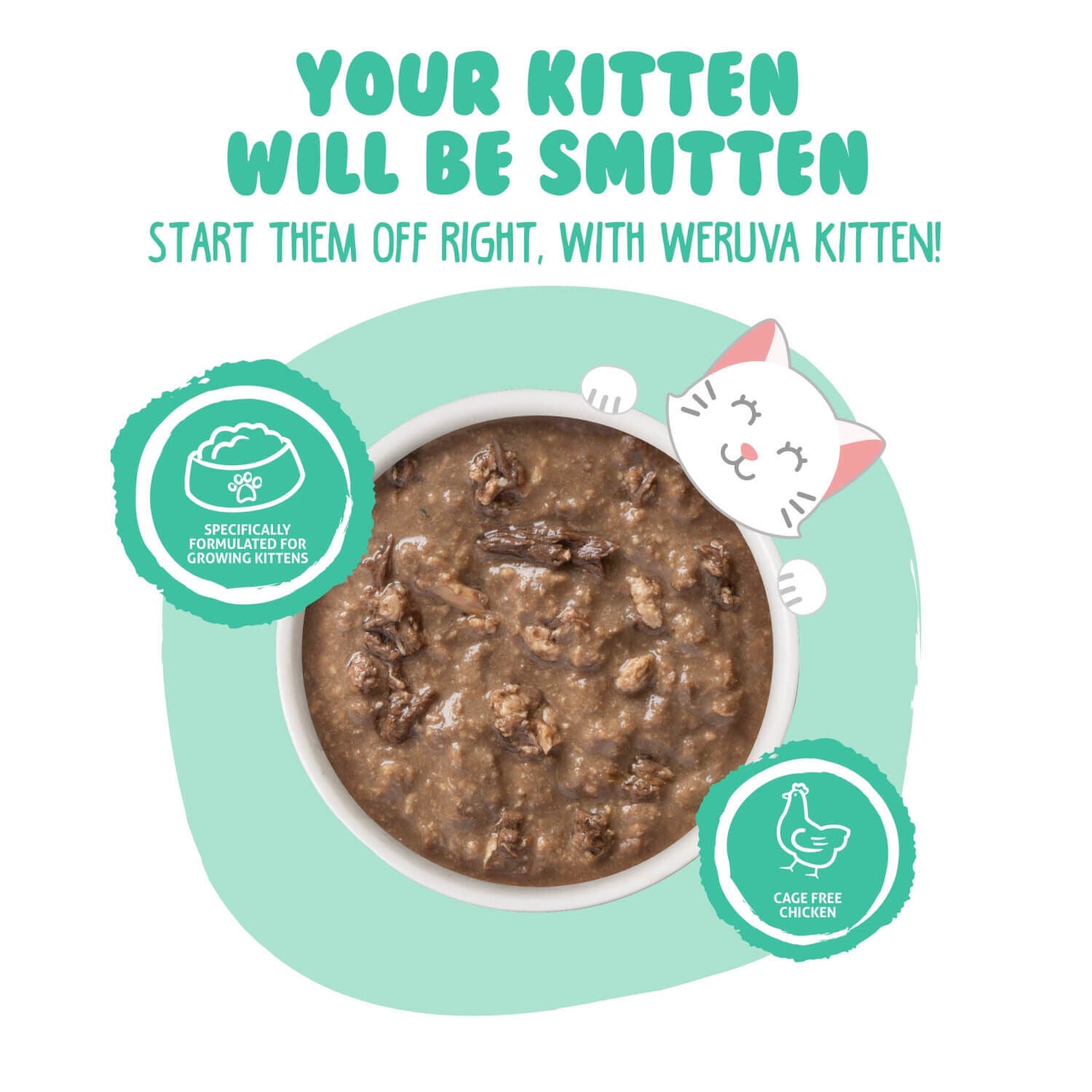 Weruva Kitten Grain Free Chicken & Tuna Formula In Gravy Wet Cat Food, 3-Oz Can