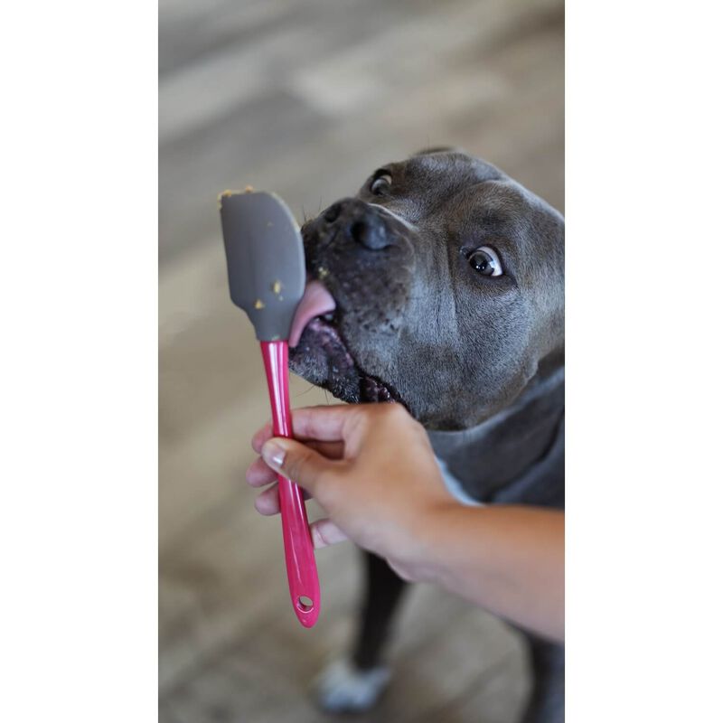 Messy Mutts Silicone Therapeutic Licking Mat With Silicone Spatula For Dogs & Cats, 8"