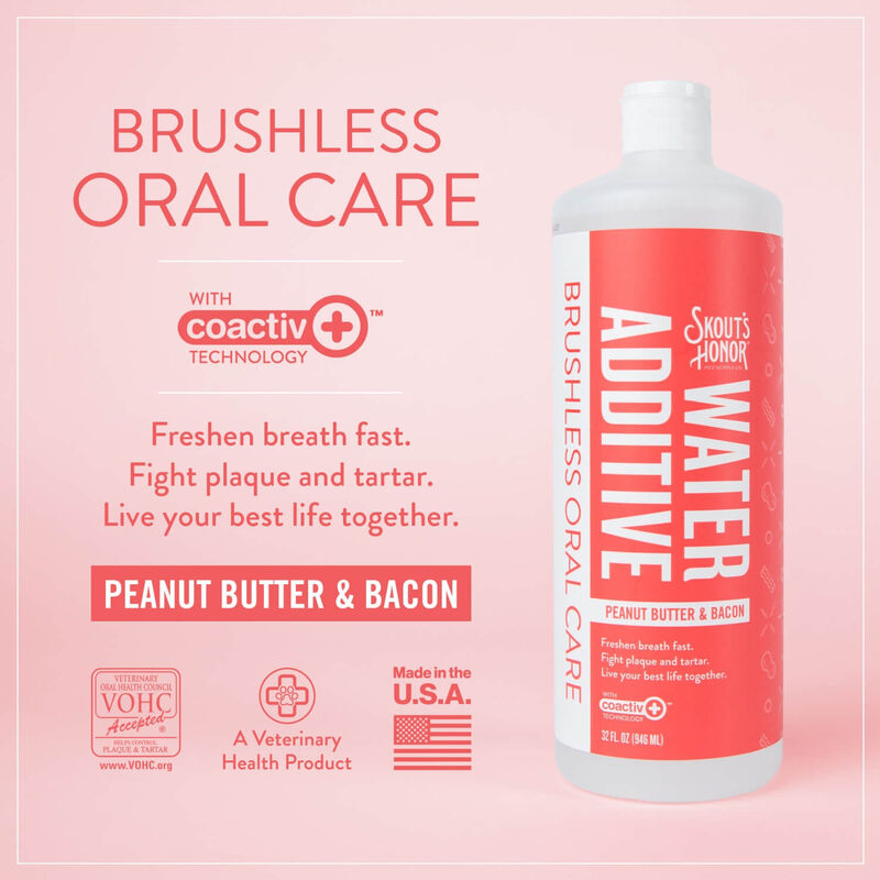 Skout'S Honor Brushless Oral Care Water Additive For Dogs, Peanut Butter & Bacon Flavor