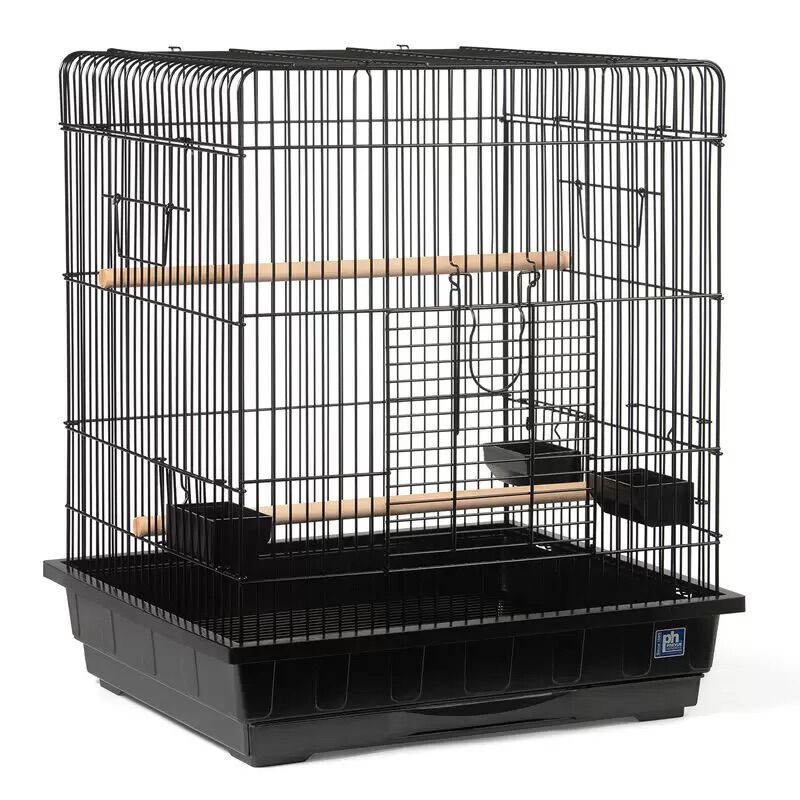 Parrot Supplies Set