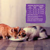 Core Kitten Turkey, Whitefish & Chicken Cat Food thumbnail number 3