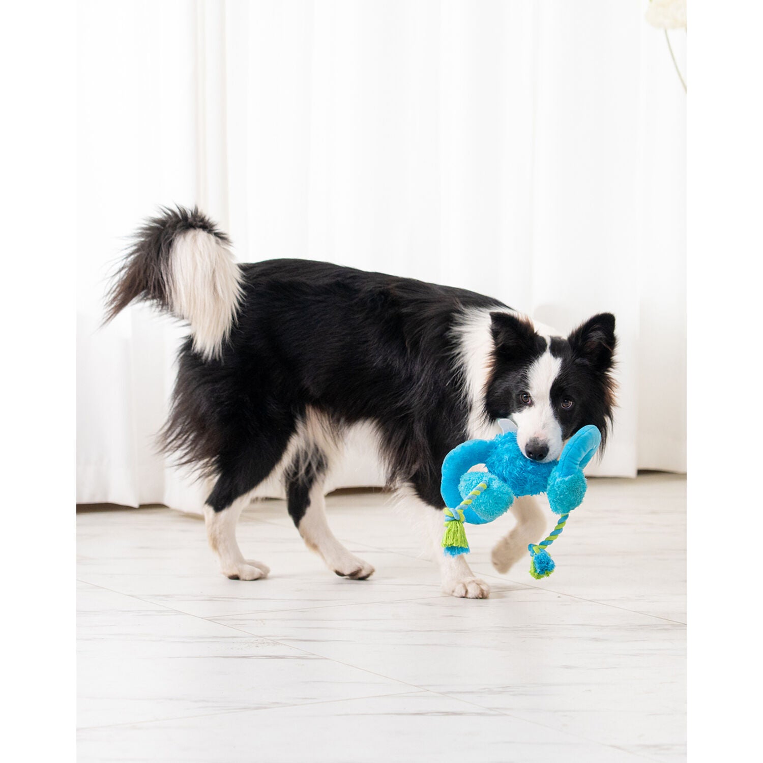 Territory Monster Loopy Squeak & Tug Plush Dog Toy, 20"