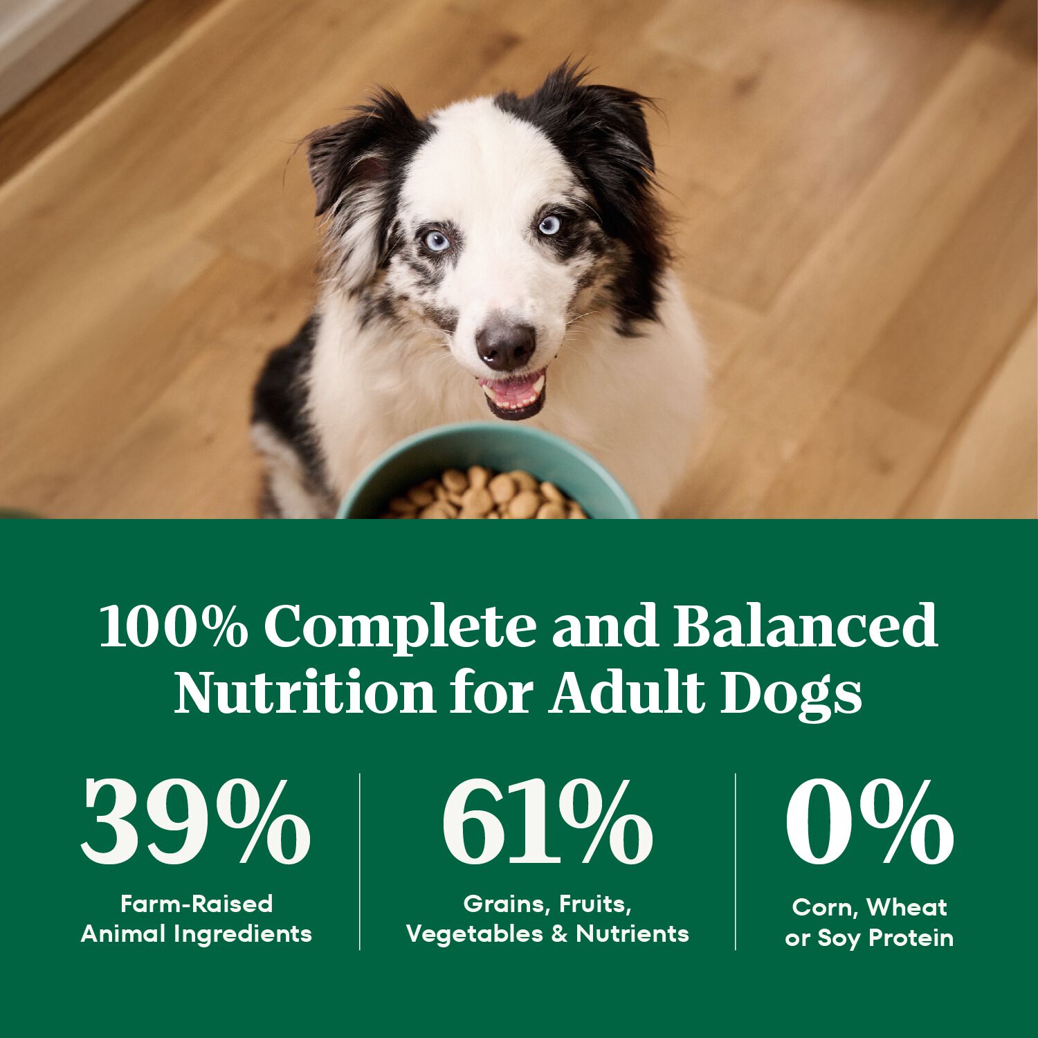 Nutro Natural Choice&nbsp;Lamb & Brown Rice Recipe Dry Dog Food, 30-Lb Bag